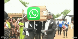commit message
feat(bug): kill whatsapp backend